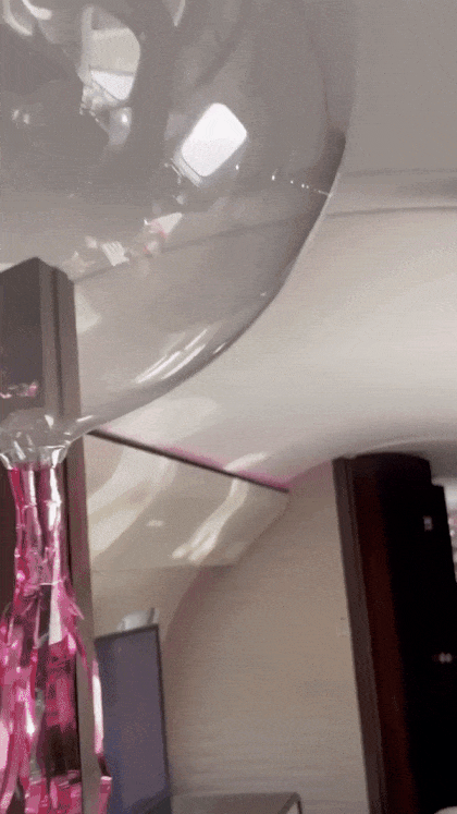 Master suite inside Kylie's private jet